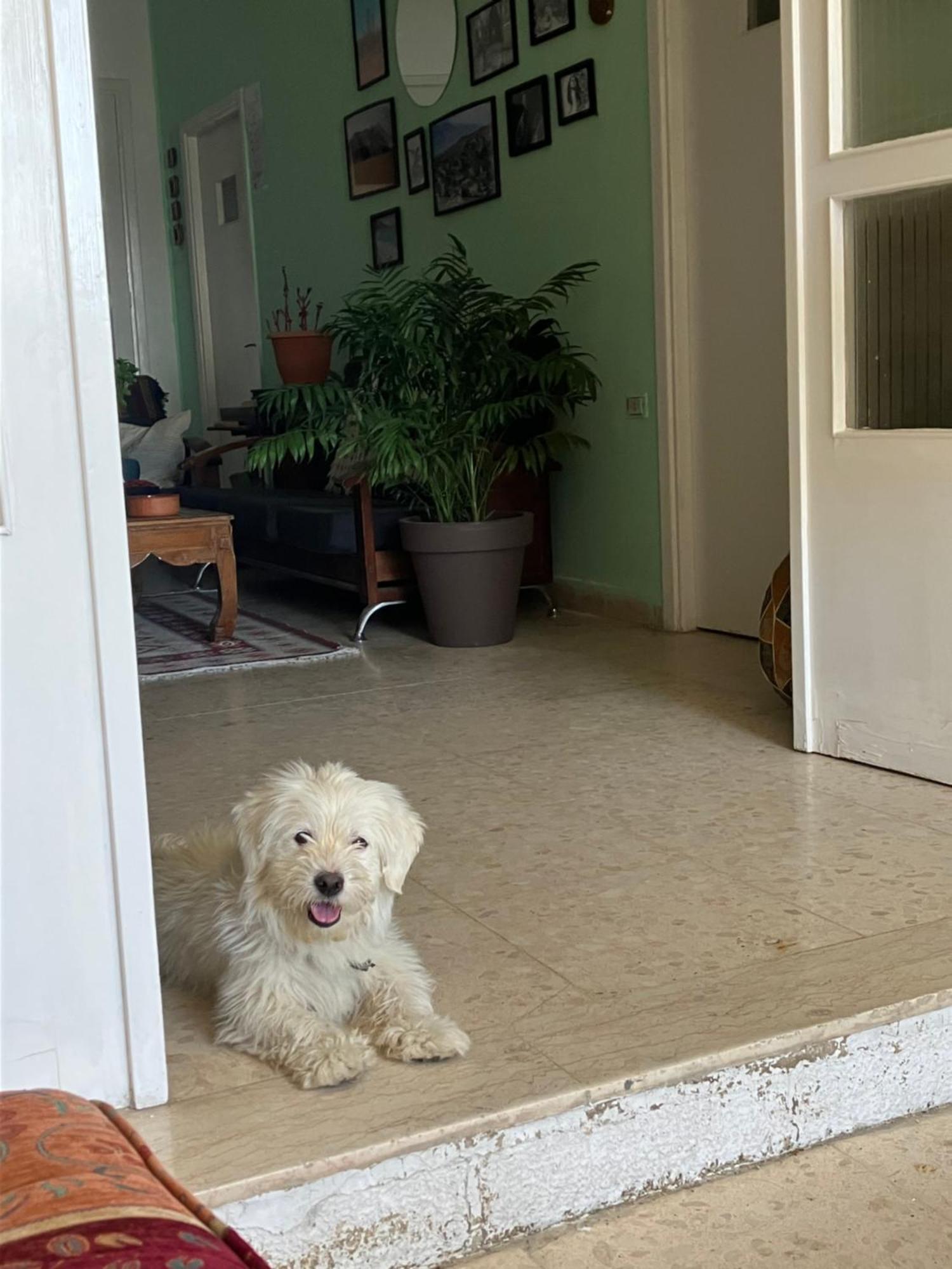 Darna Hostel Amman Ngoại thất bức ảnh